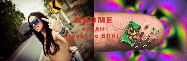 стаф Инта