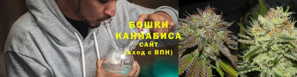 стаф Инта