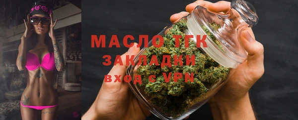 стаф Инта