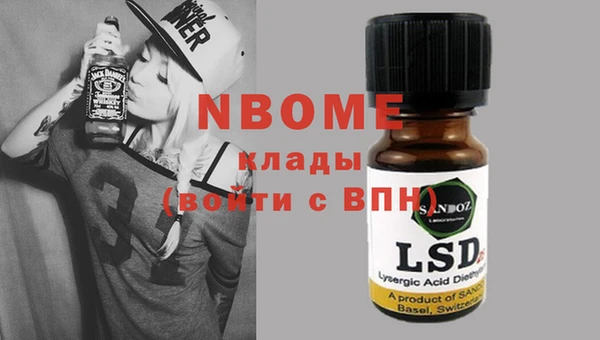 стаф Инта