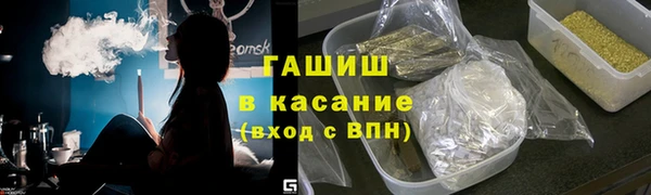 стаф Инта