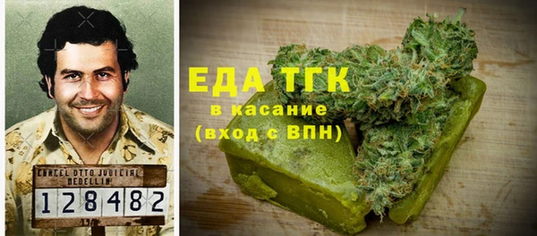 стаф Инта