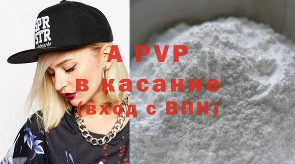 стаф Инта