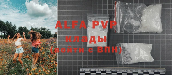 стаф Инта