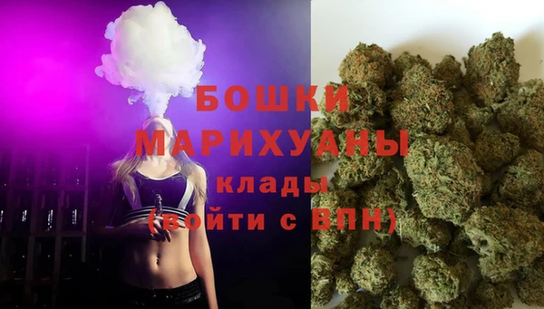 стаф Инта