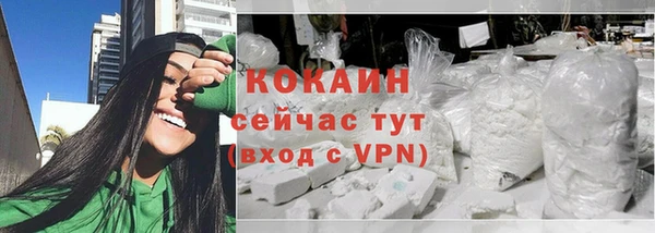 стаф Инта